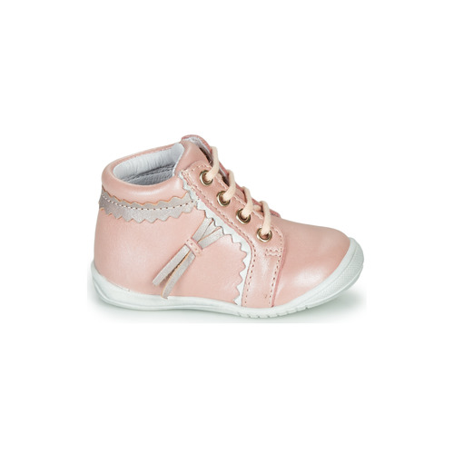 GBB - ACINTA - Rose