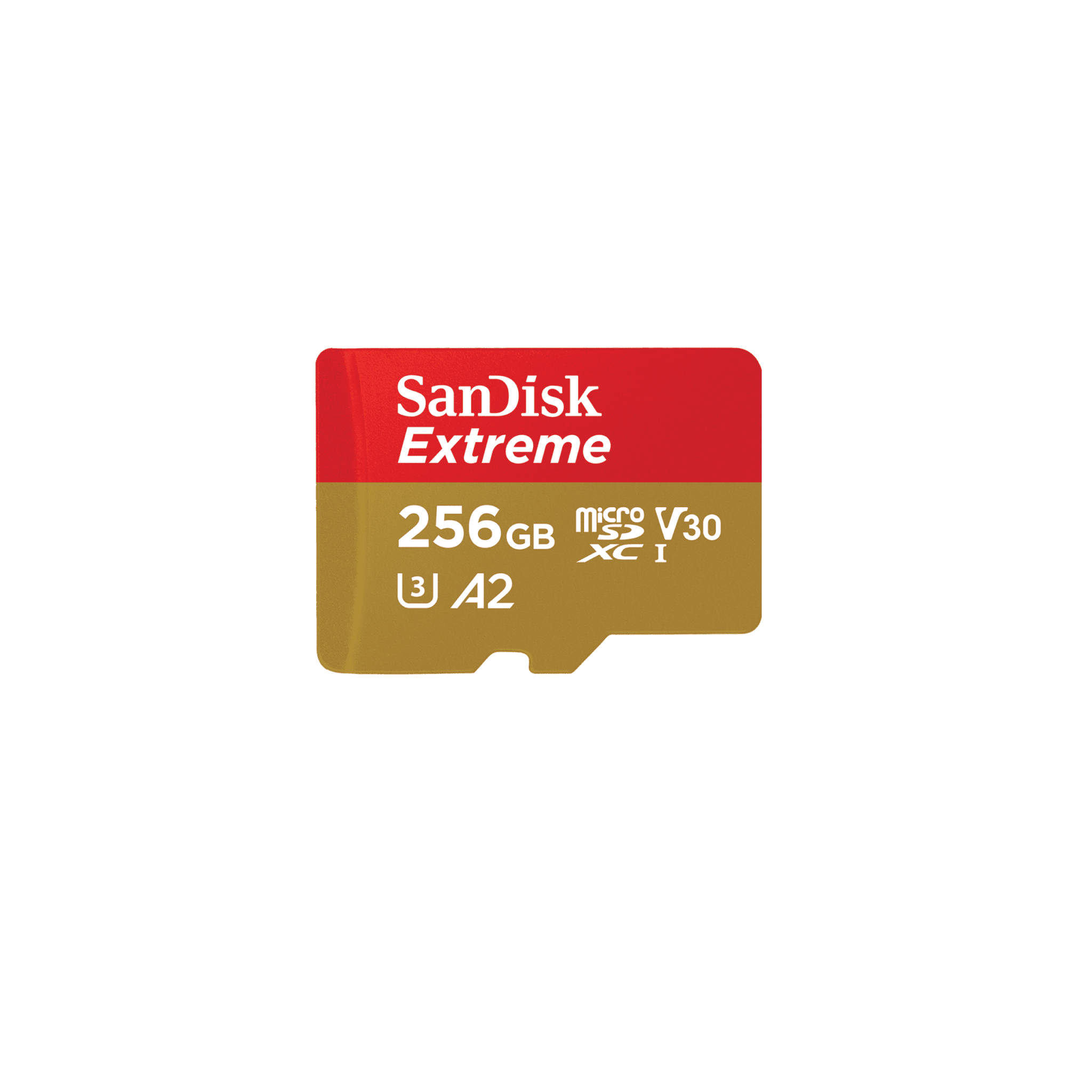 SanDisk Extreme 256GB microSDXC(Memory card for GoPro cameras)
