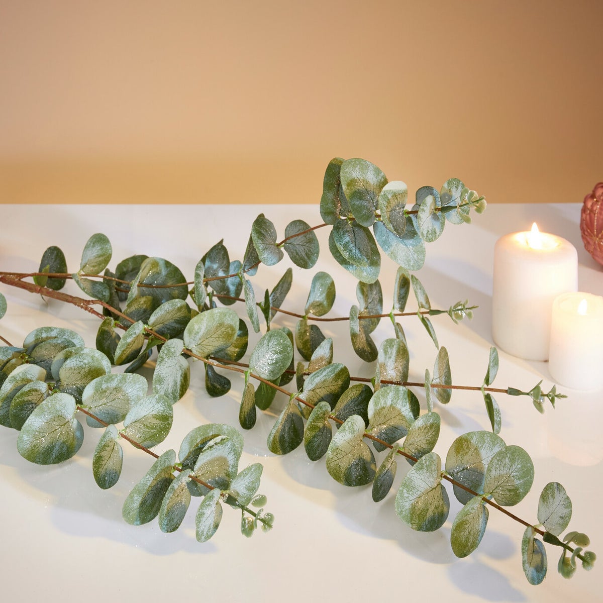 Eucalyptus tak, set van 2