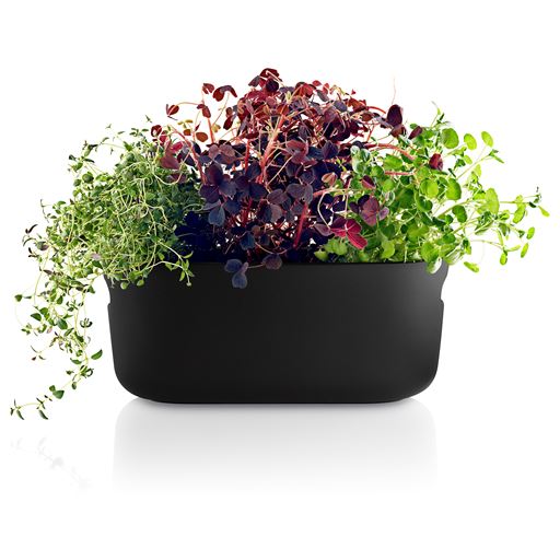 Eva Solo Selvvandende Herb Organiser, Sort