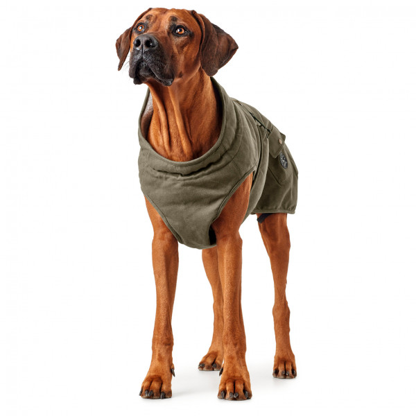 Hunter - Dog Coat Uppsala Trend - Manteau pour chien