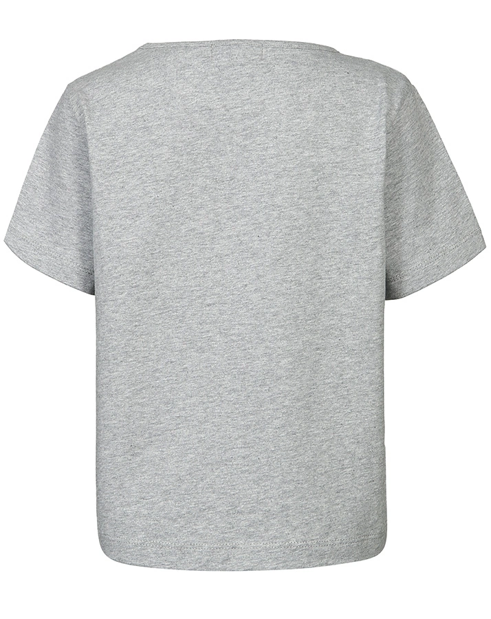 T-Shirt DINOSAUR CROSSING mit Wendepailletten in grau melange