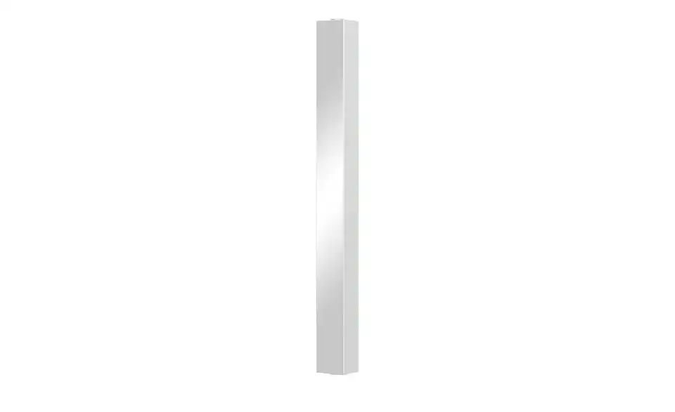 Drehspiegelschrank Steyr