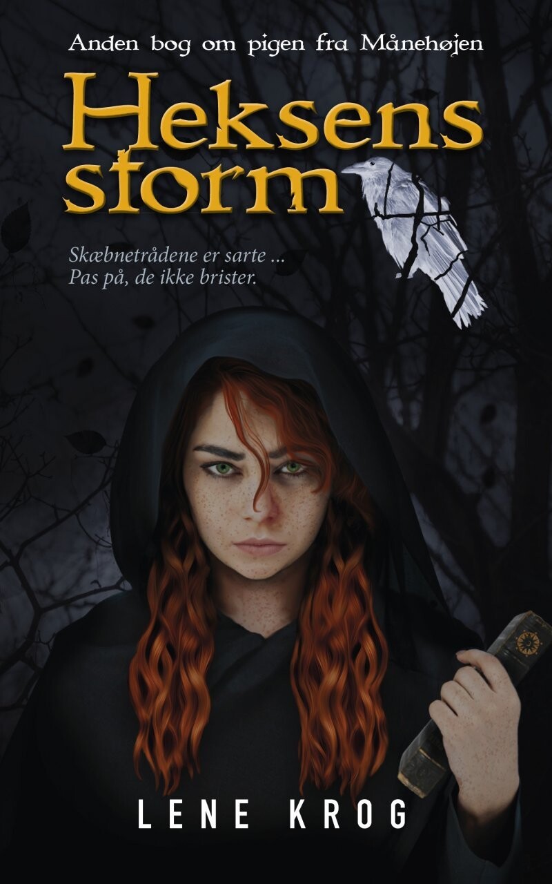 Heksens Storm - Lene Krog - Bog