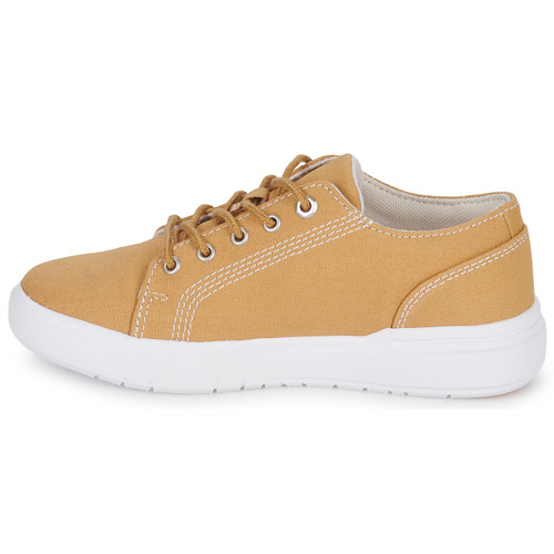 Timberland - SENECA BAY FABRIC OX - Beige / Blanc