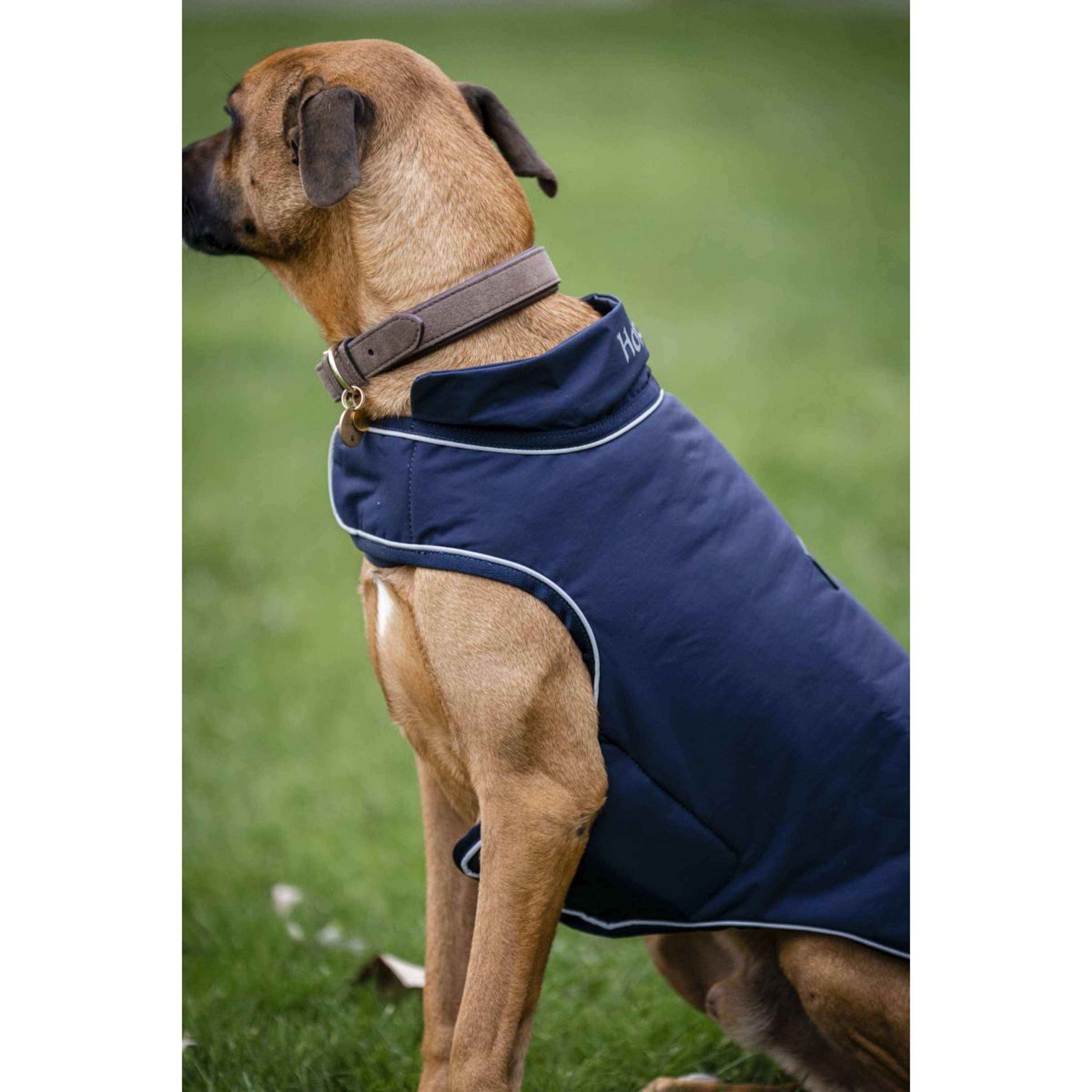 Horseware Hondenregendeken Signature 100g Navy