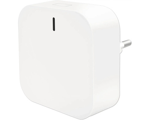essentials Smart Home Centrale Duo Zigbee & Bluetooth