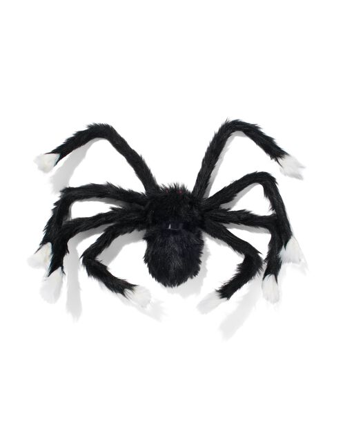 araignée 17x45 Halloween