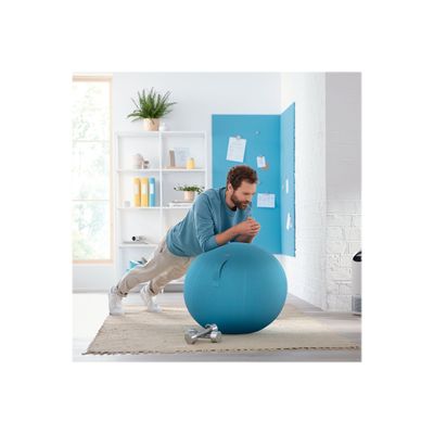 Leitz Ergo Cosy Active - Ballon d'assise - diamètre de 65 cm - bleu calme