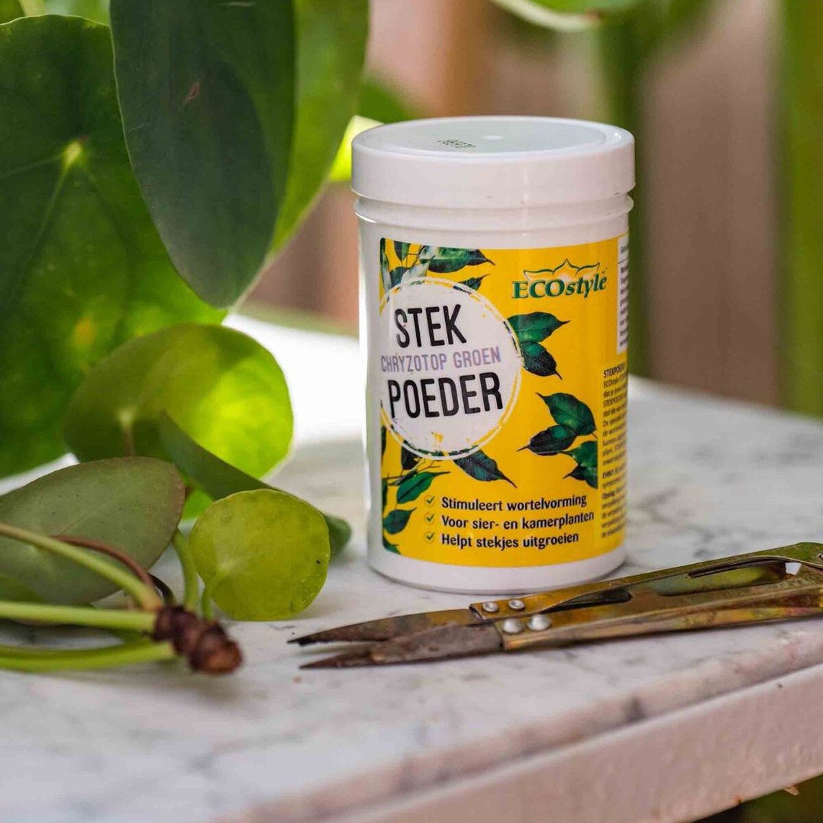 ECOstyle - Stekpoeder - 25 Gram