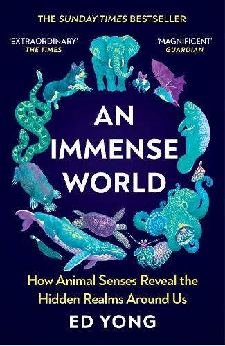 An Immense World (Paperback)