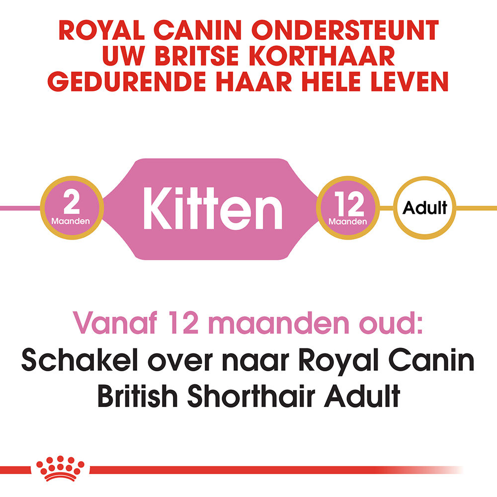 Royal Canin British Shorthair Kitten - Kattenvoer