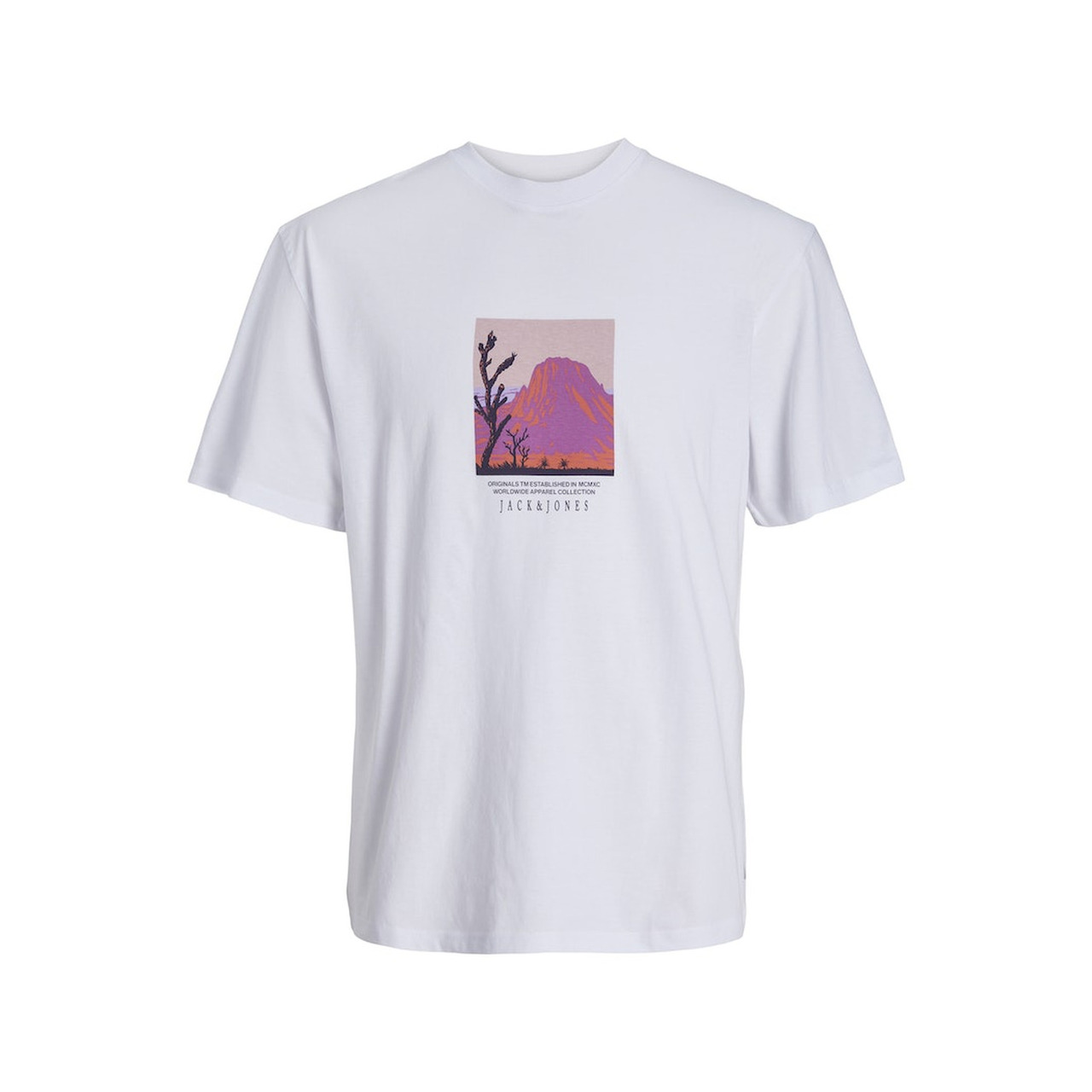 Jack & Jones JORLUCCA GRAPHIC TEE SS CREW N