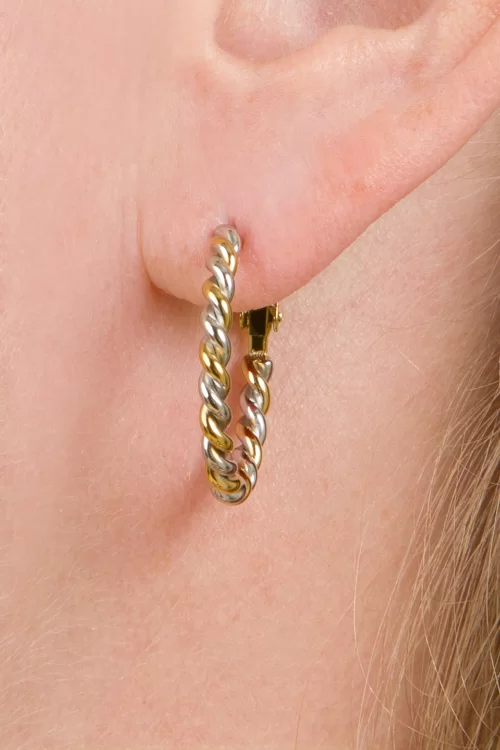 Day&Eve by Go Dutch Label Twisted Hoops oorbellen in zilver en goud