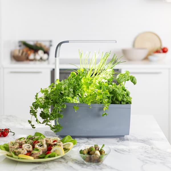Tregren Kitchen Garden T6 Grå