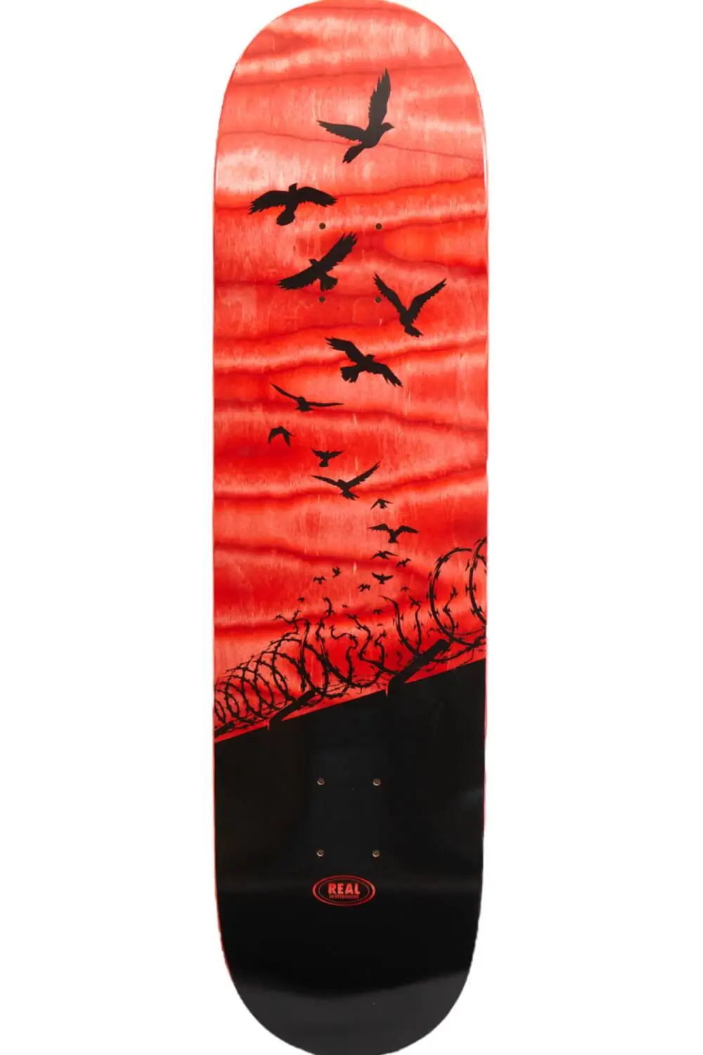 Real Set Free Spectrum Skateboard Deck | SkatePro