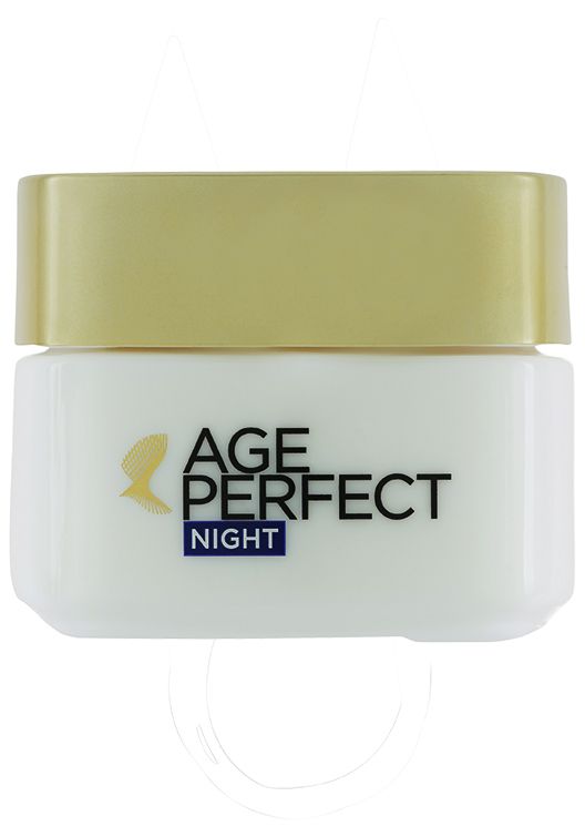 Skin Care Age Perfect Night Cream
