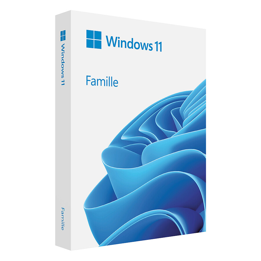 Microsoft Windows 11 Home 64 bits (oem - DVD)