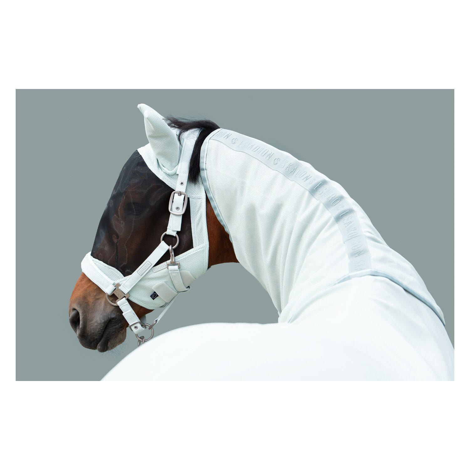 ESKADRON Classic Sports Fliegendecke Fly Detach-Neck Classic  - powder green