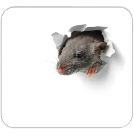 RNK Verlag Mousepad – Block “Mausi” 30 Blatt