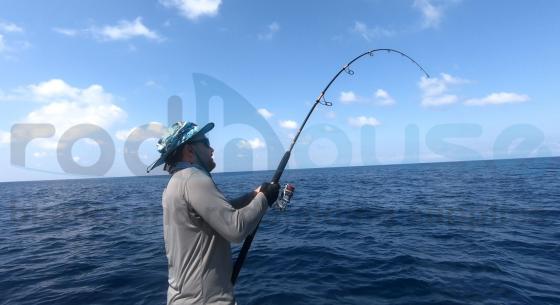 Blank TR83-ML BIG GAME 2.51m 30-80gr