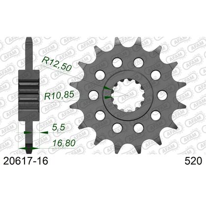 Kit chaine AFAM 520 Type Acier