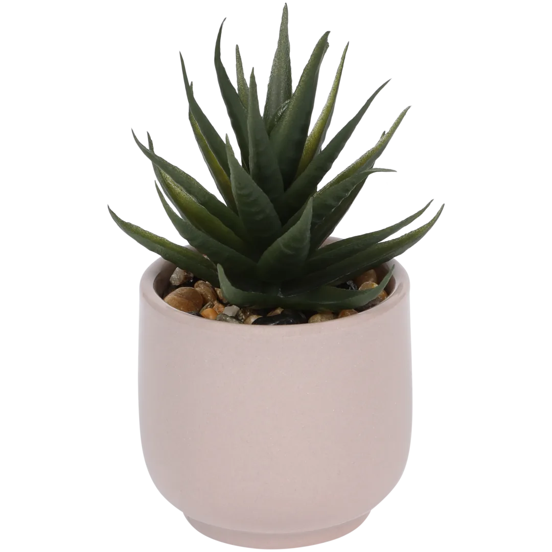 Plante grasse artificielle en pot Home Accents