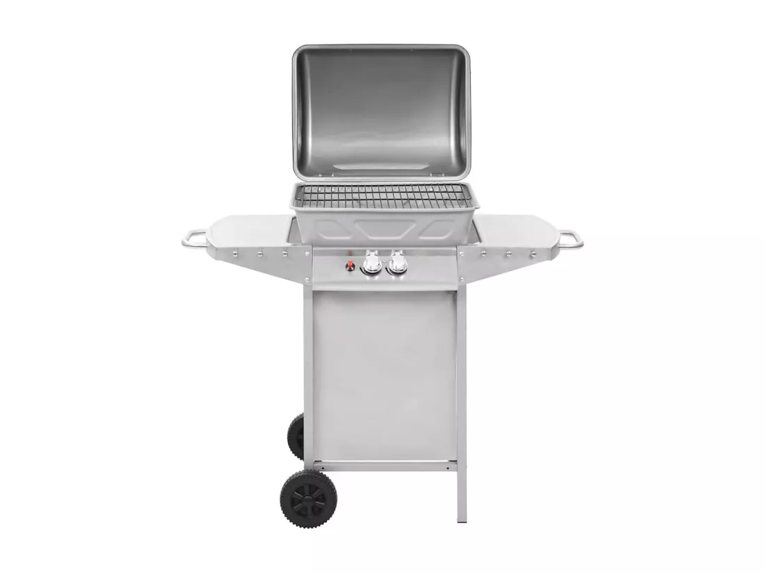 Barbecue à gaz avec 2 zones de cuisson Acier Argenté
