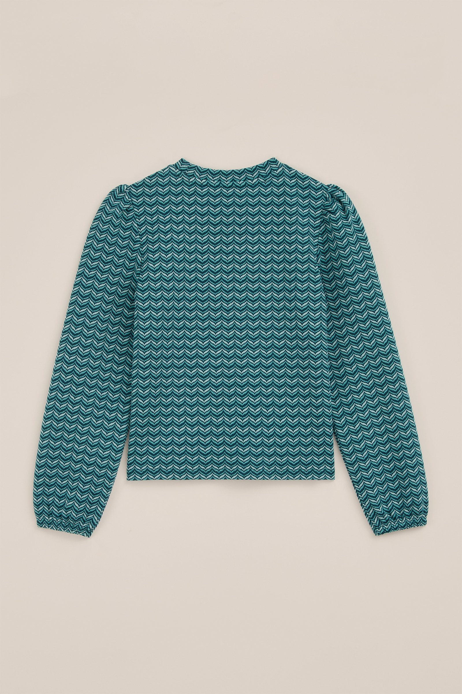Meisjes sweater met dessin WE Fashion Zeegroen
