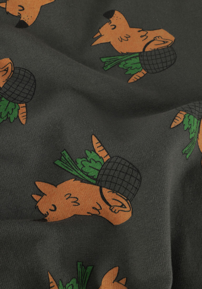 L\u00D6TIEKIDS grijze l&ouml;tiekids sweater w23-87-20