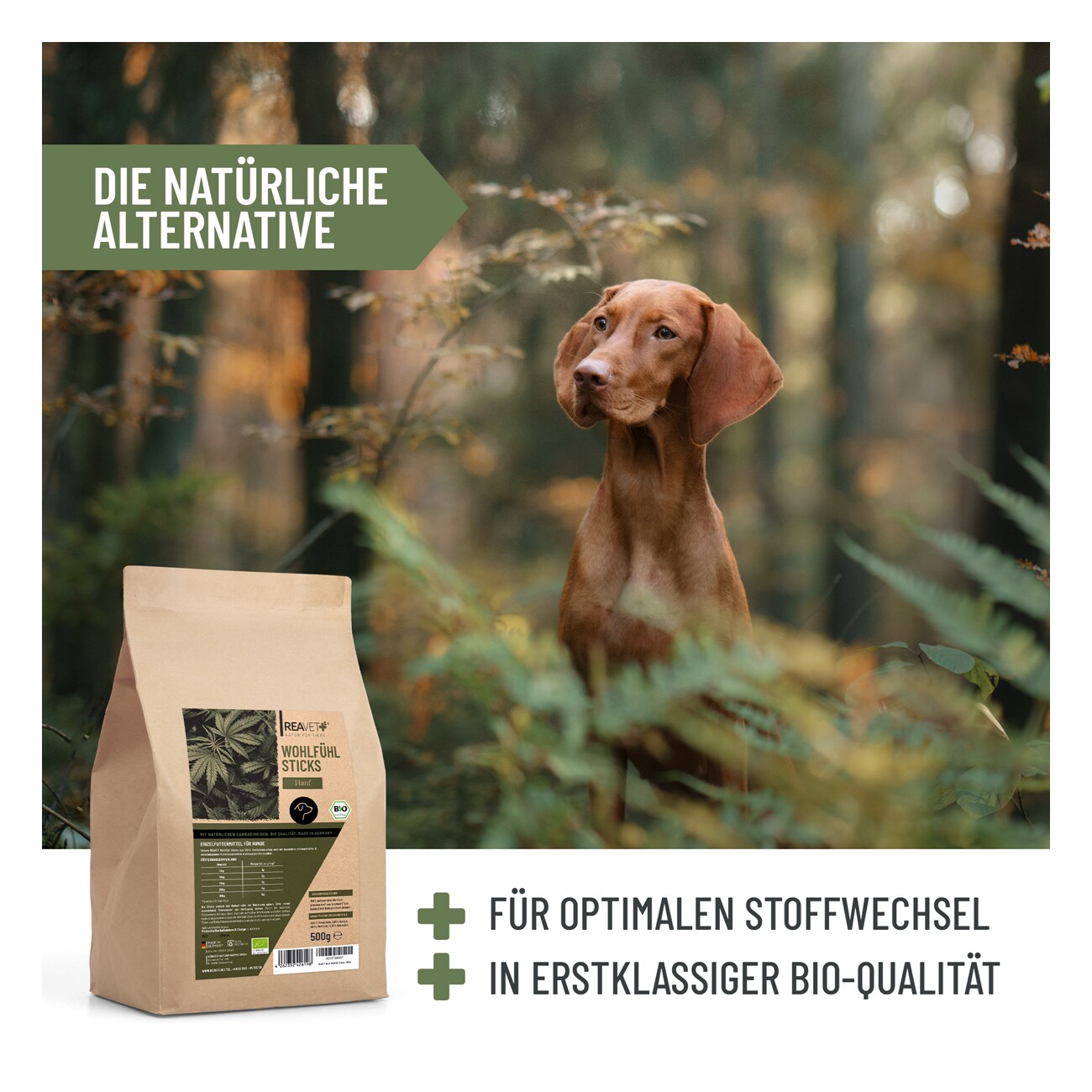REAVET Hanf Wohlfühl Sticks 500g
