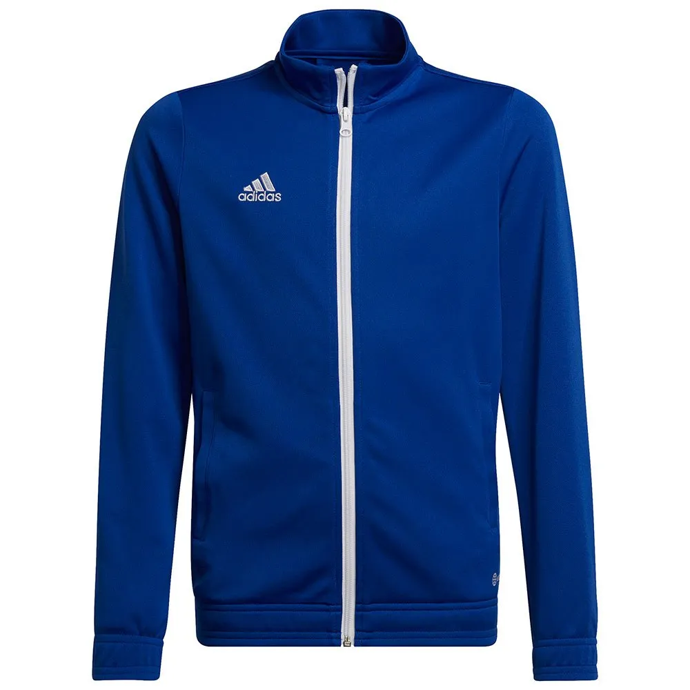 jaqueta adidas Entrada 22