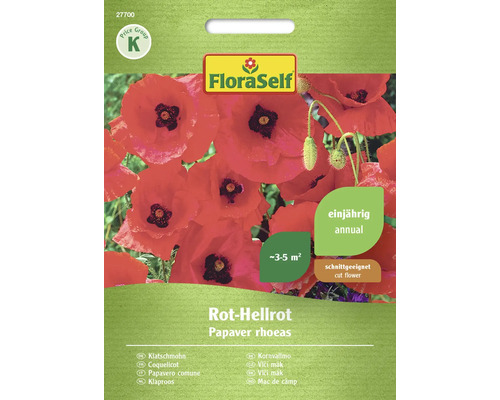 Rood-lichtrode papaverflora, zelfgroeiende zaden, bloemzaden