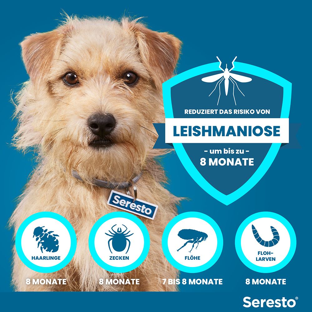 Seresto® Halsband für kleine Hunde bis 8 kg