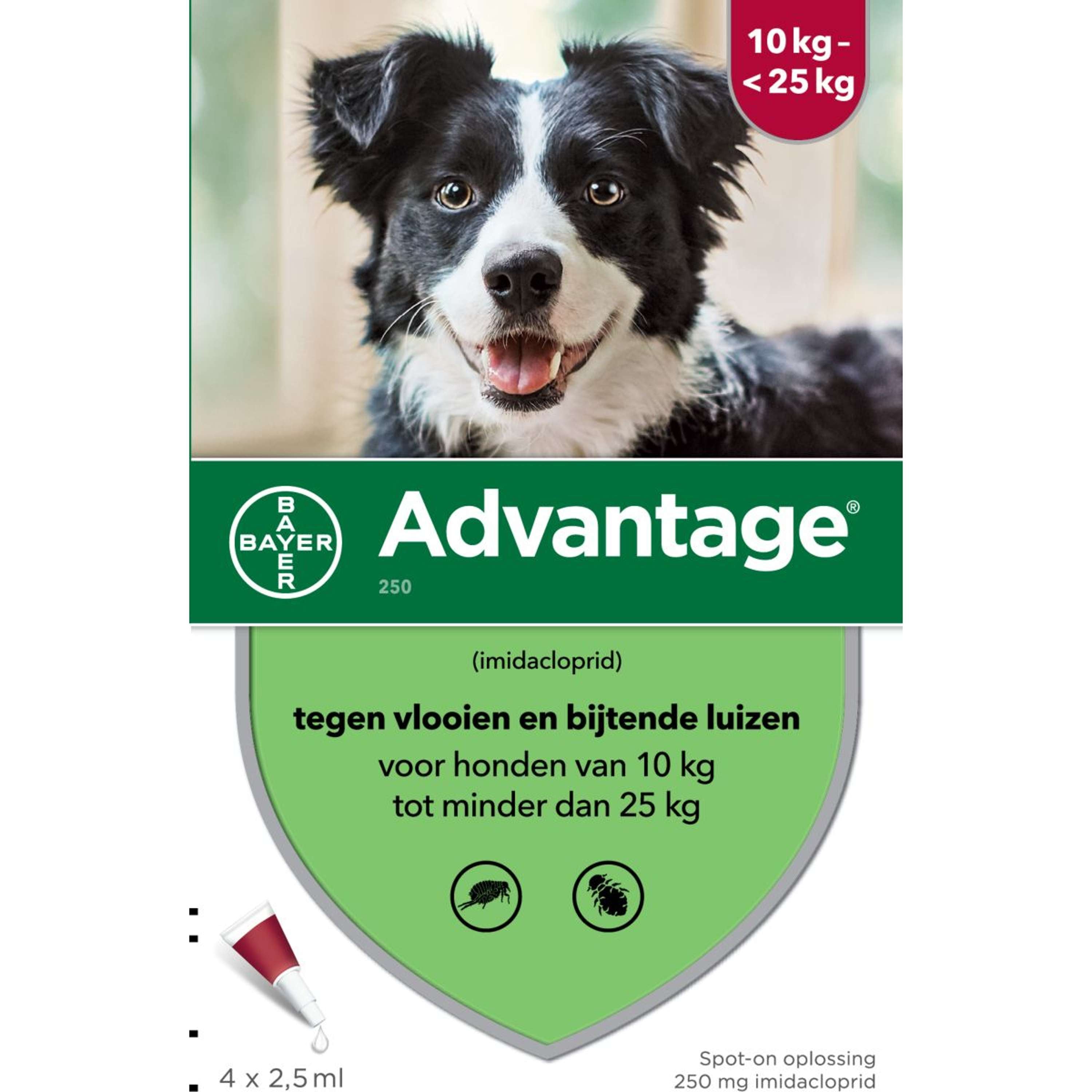 Advantage 250 Spot-On Hond 10-25kg