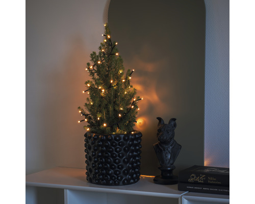 Konstsmide Micro LED Cluster String Lights, 4,38 m + 3 m aansluitdraad, 200 LED's, amberkleurige lichtkleur