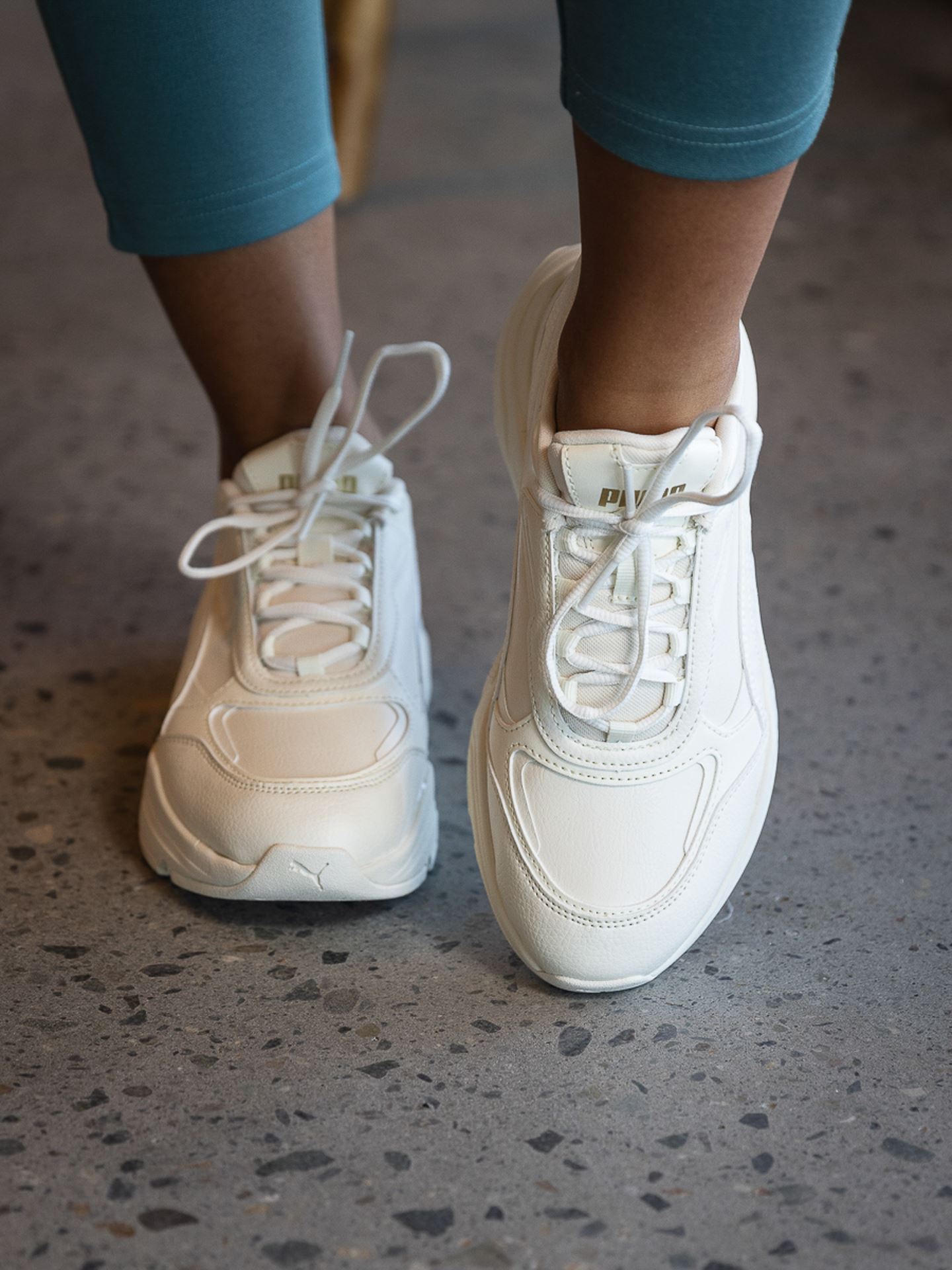 Cassia SL