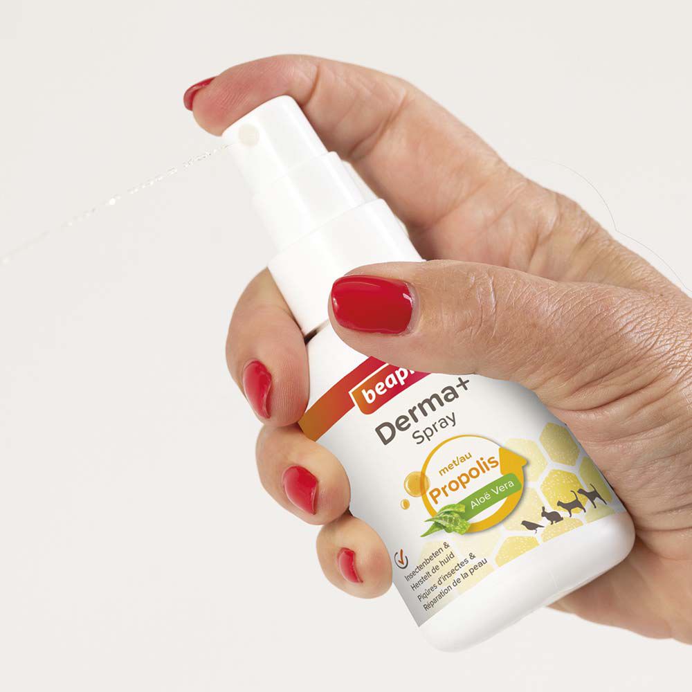 Beaphar Derma  spray - Wondverzorging Hond - 75 Milliliter
