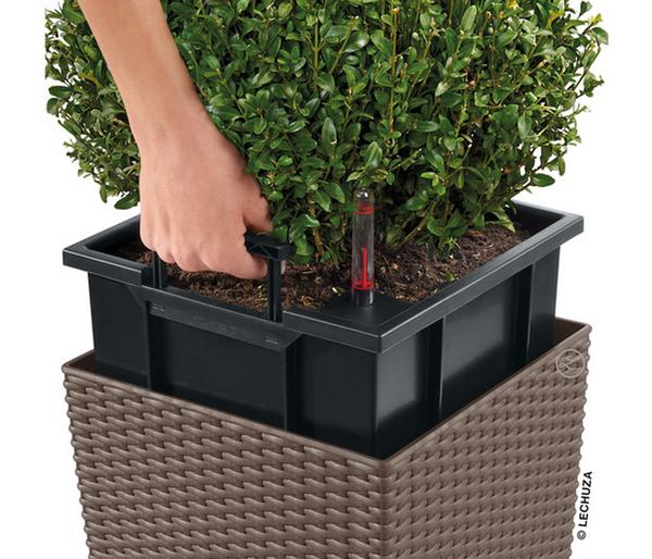 LECHUZA® Kunststoff-Topf Cube Cottage,