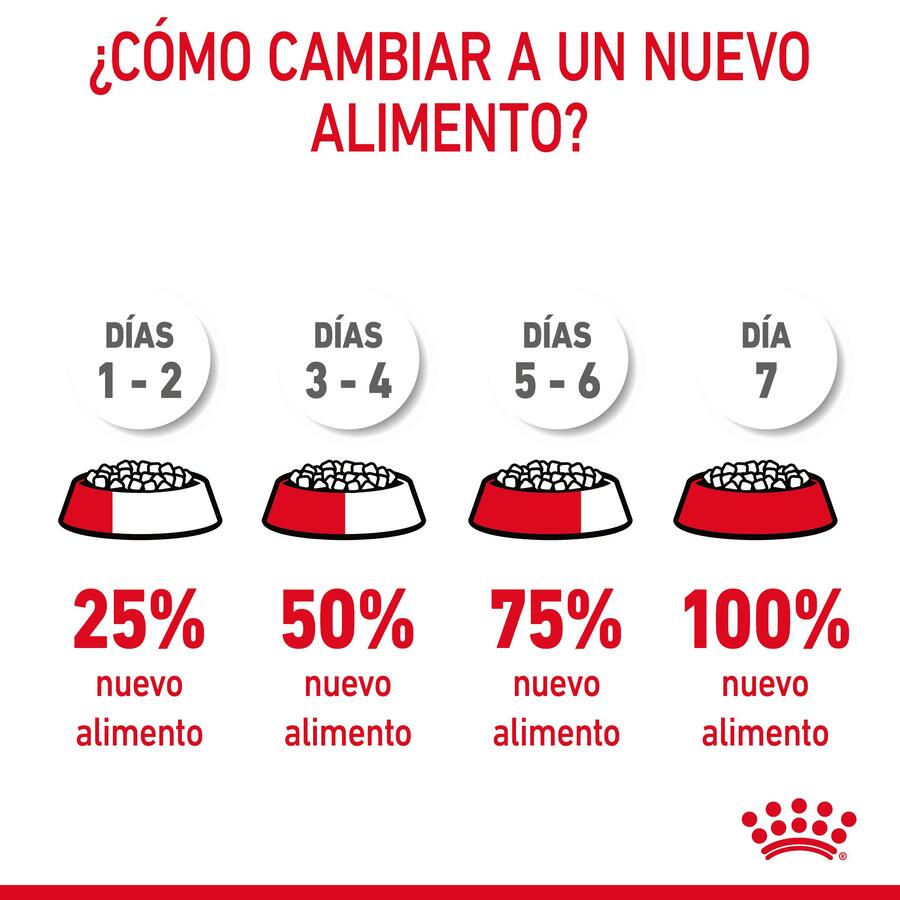 Ração Royal Canin Adult Digestive para gatos