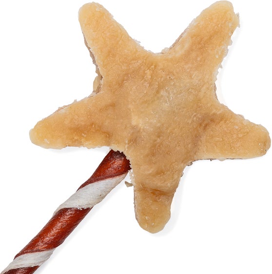 Beeztees hondenkoekjes ster op stokje 65 gram