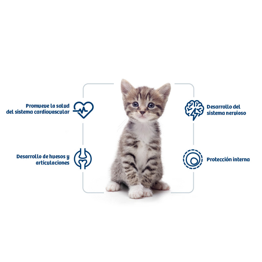 Ração para gatos Nath Kitten com frango e arroz