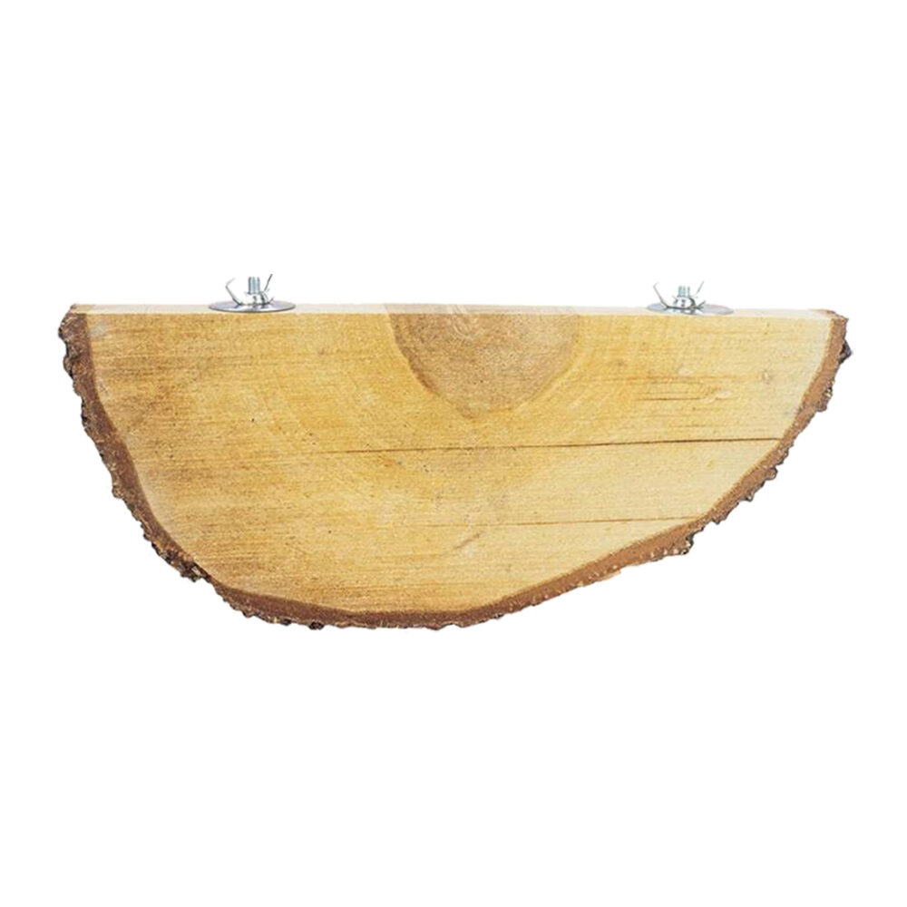 Back Zoo Nature Wood Slice