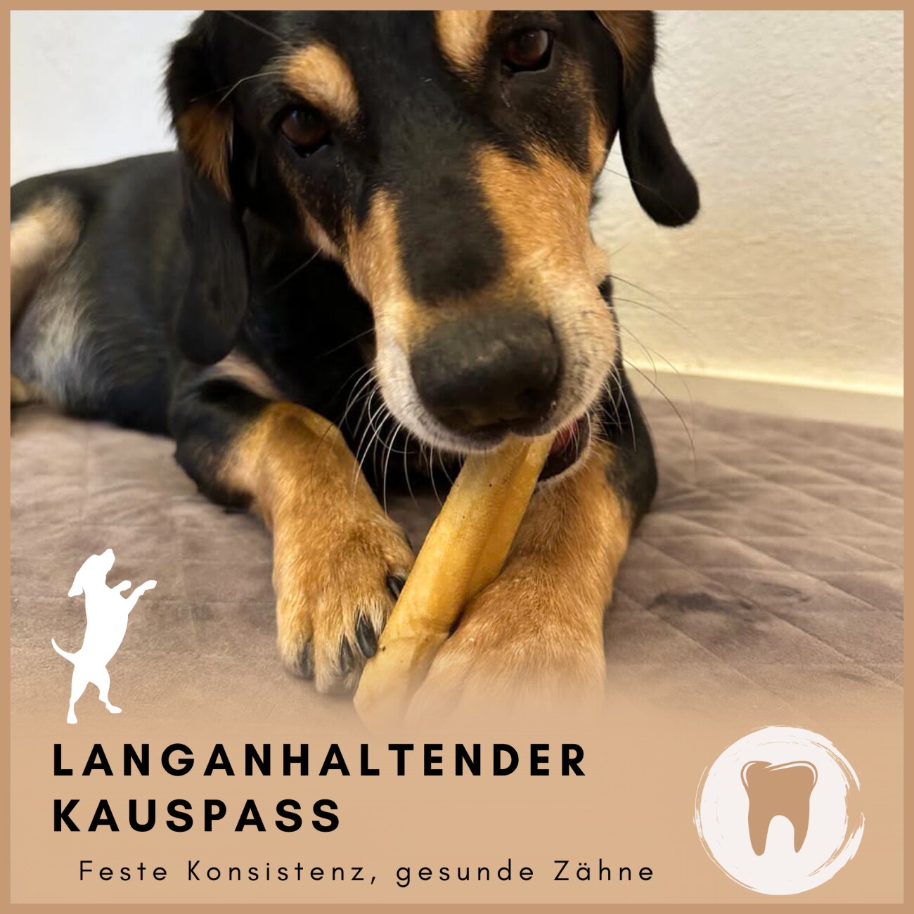 Supravit Yak Kaukäse - für Hunde L