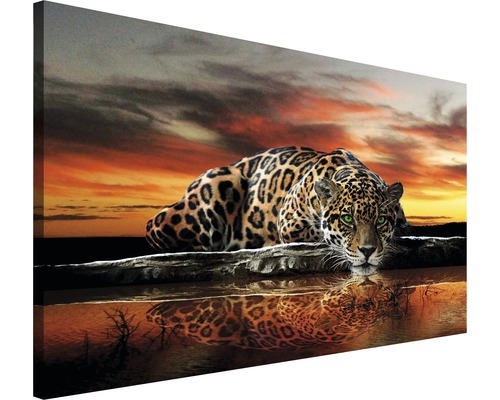 Canvasprint Luipaard 75x100 cm