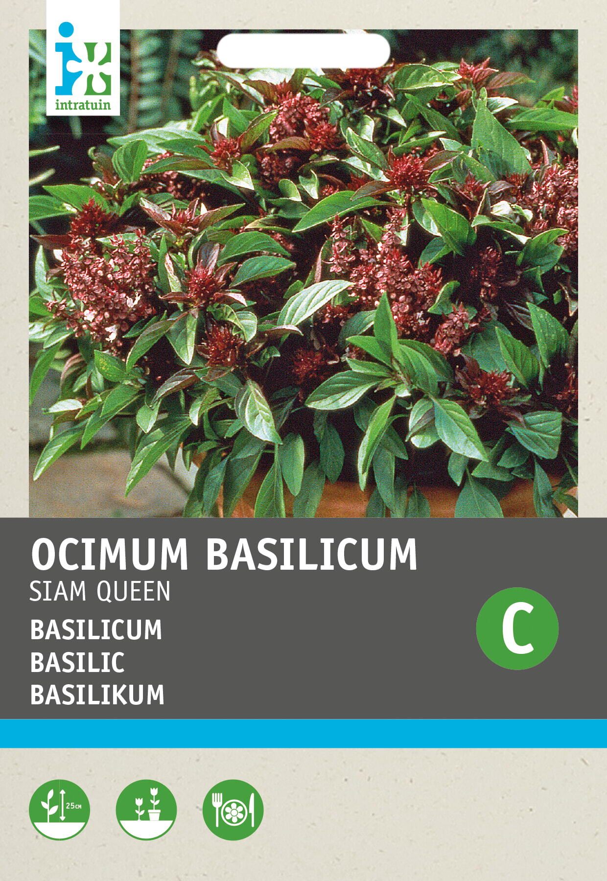 Intratuin kruidenzaad Basilicum (Ocimum basilicum 'Siam Queen')
