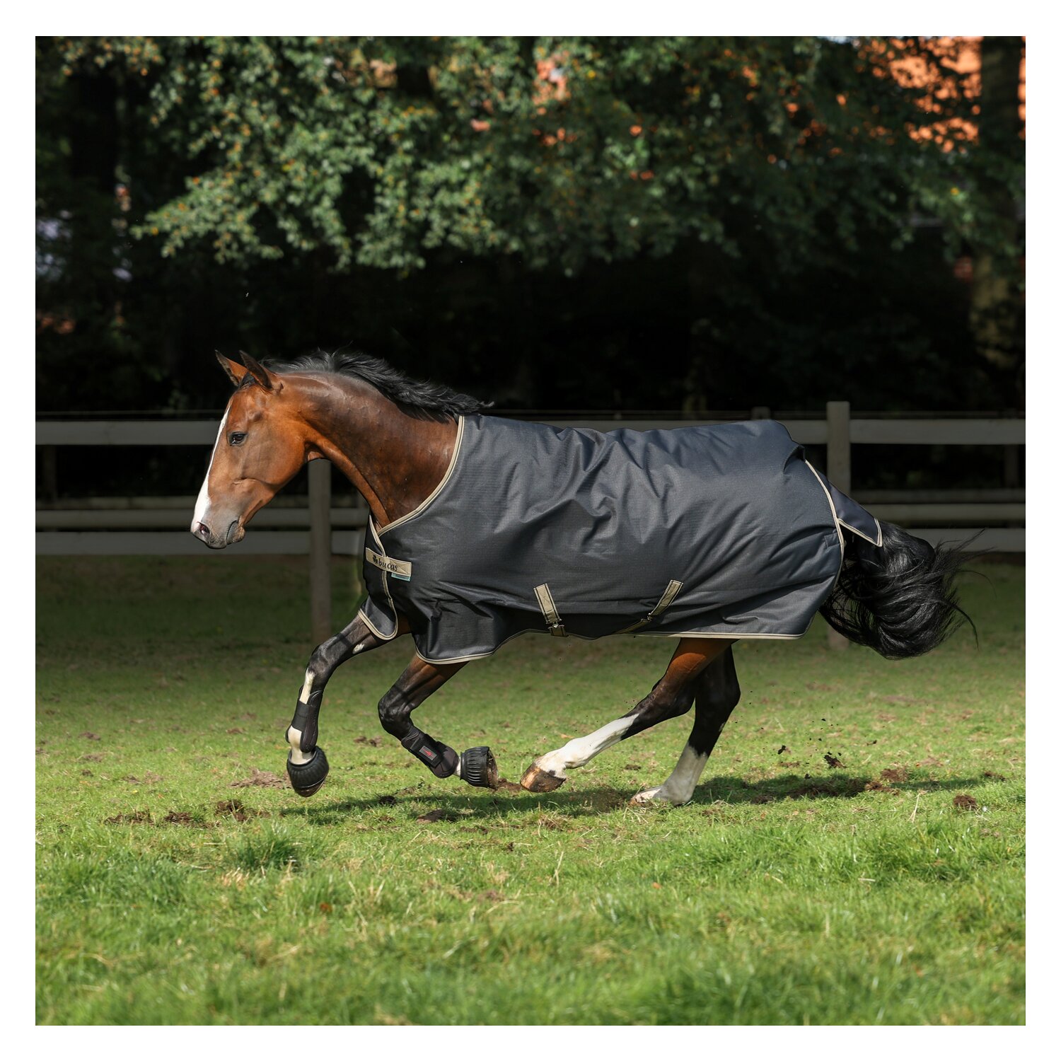 bucas Outdoordecke Freedom Turnout Light Pony  - schwarz/taupe