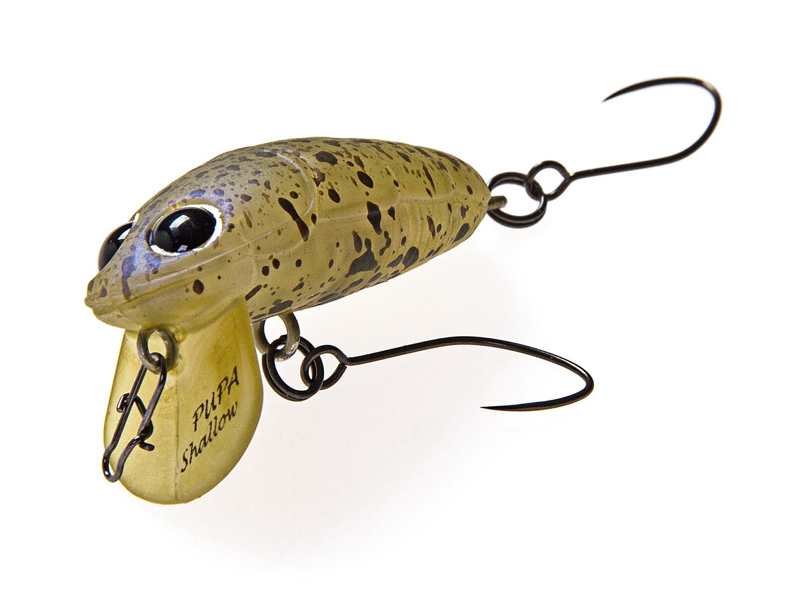 Crankin Pupa Shallow (Nories)