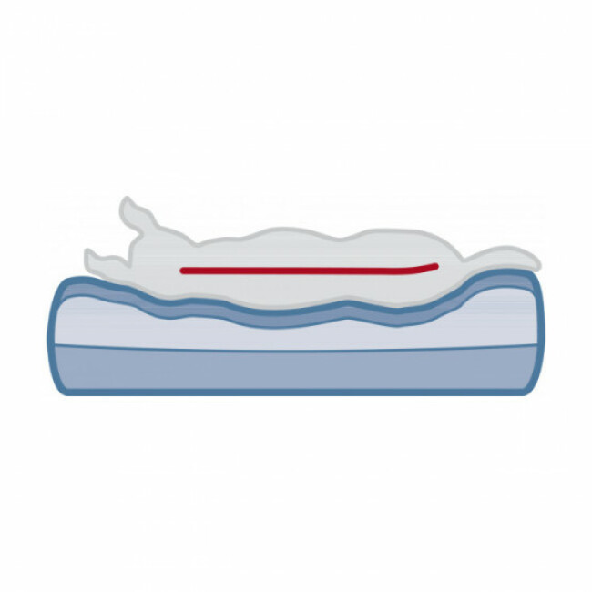 Sofa Bendson à mémoire de forme pour chien Trixie