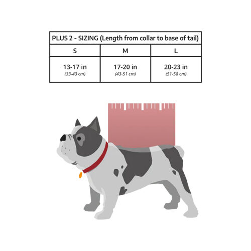 K9 Sport Sack Plus 2